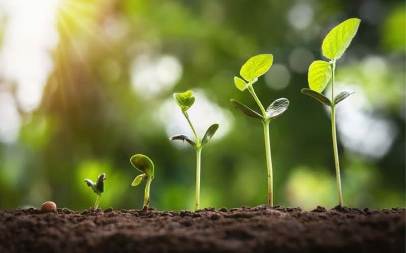 Estrategia orientada a la creación de valor